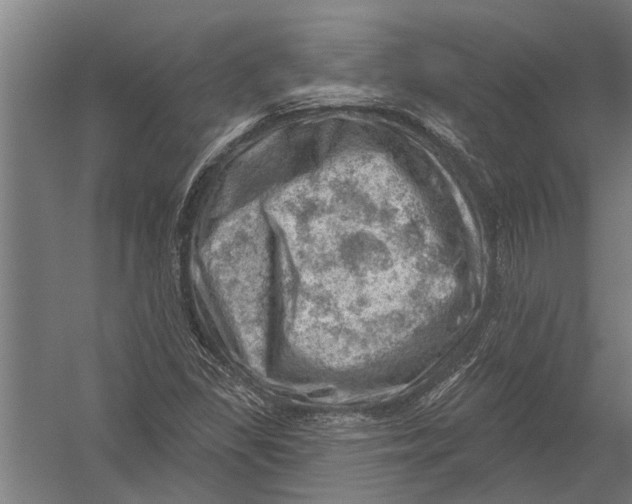 X0000052931309200507292342