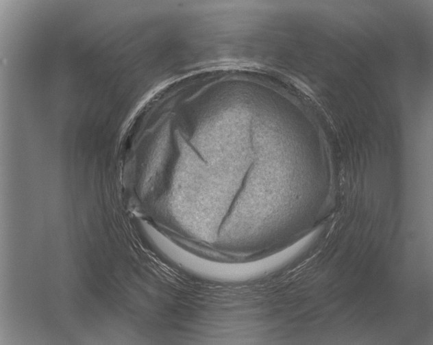 X0000052931310200507292342