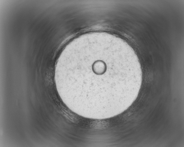 X0000052931314200507292342