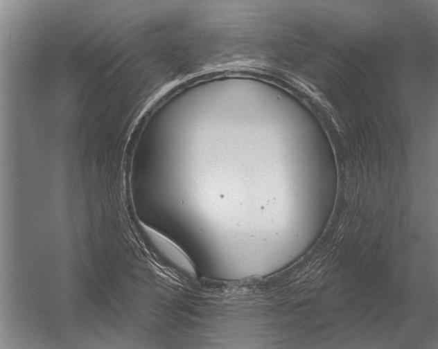 X0000052931316200507292342