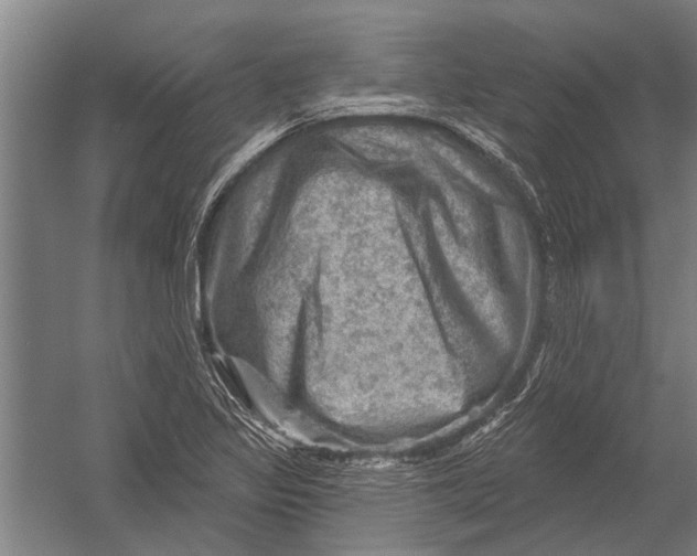 X0000052931317200507292342