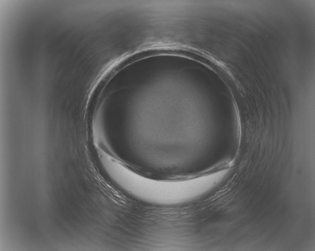 X0000052931319200507292342