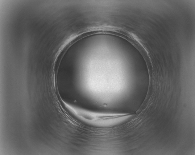 X0000052931320200507292342