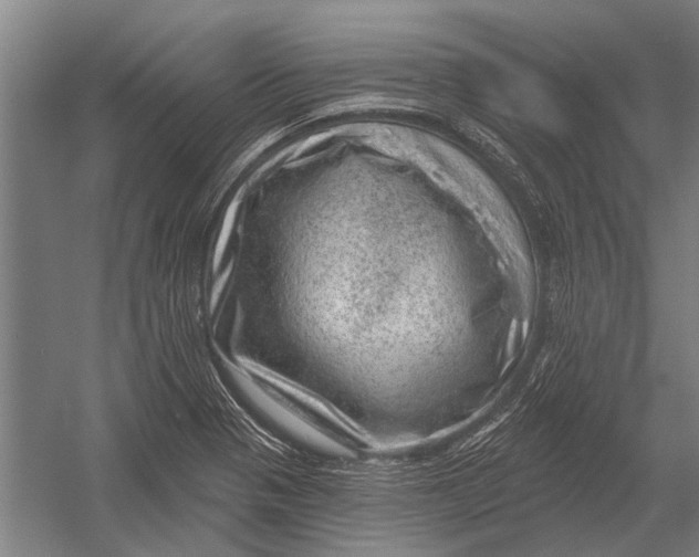 X0000052931321200507292342