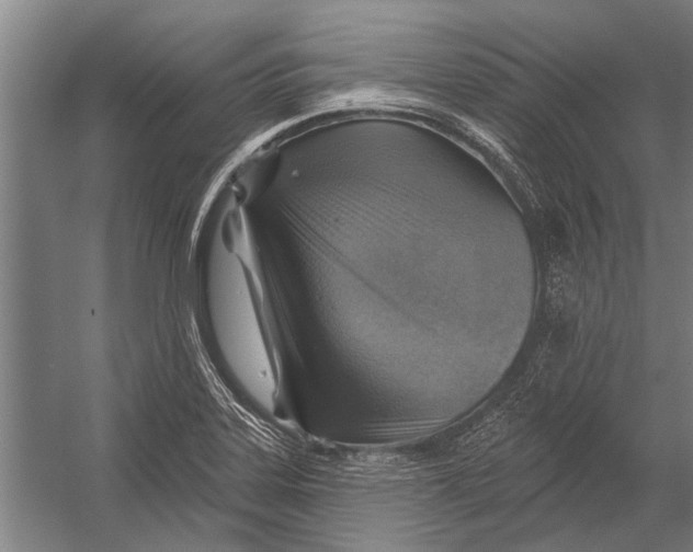 X0000052931323200507292342