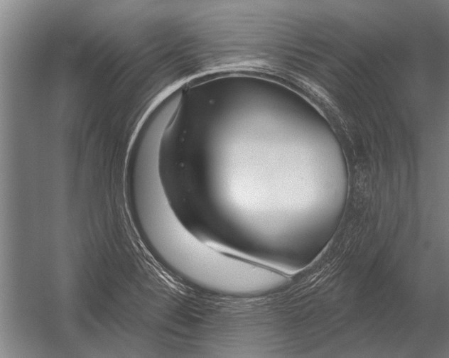 X0000052931324200507292342