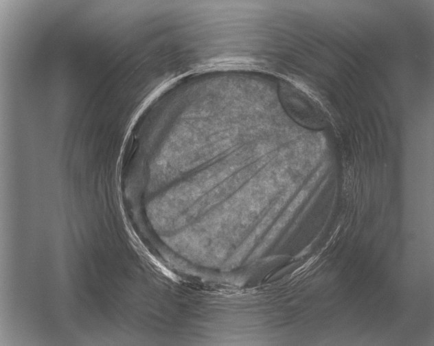 X0000052931325200507292342