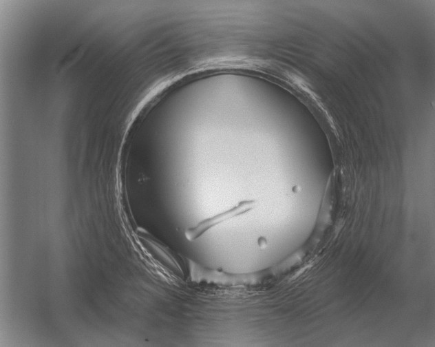 X0000052931328200507292342