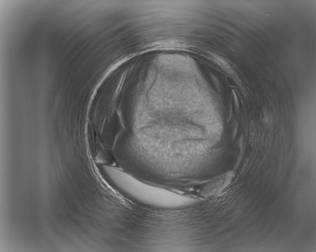 X0000052931331200507292342