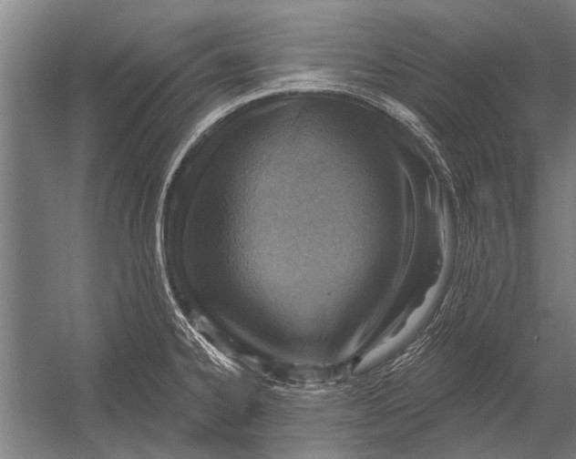 X0000052931334200507292342