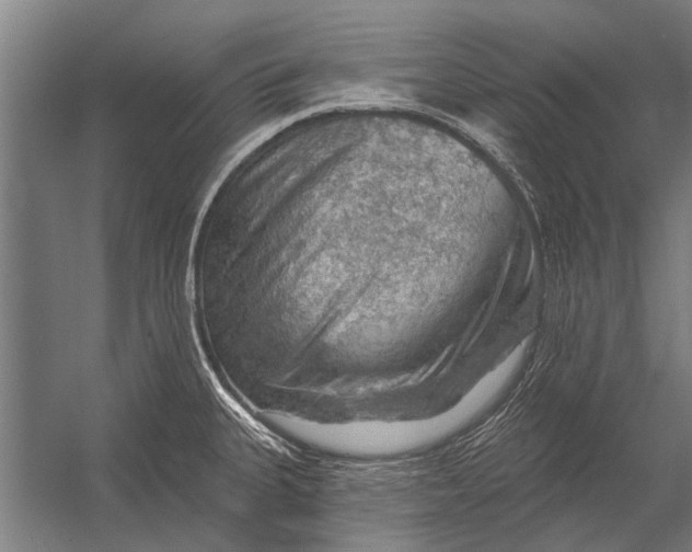 X0000052931335200507292342