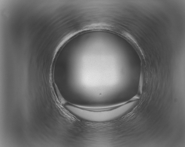 X0000052931336200507292342