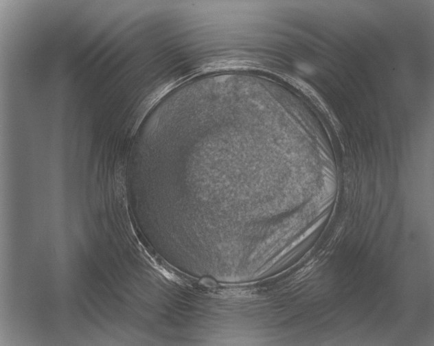 X0000052931337200507292342