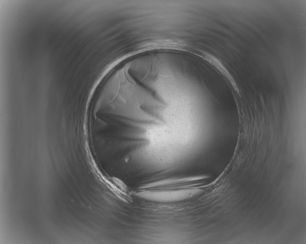 X0000052931339200507292342