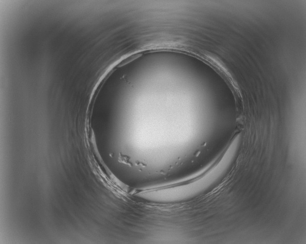 X0000052931340200507292342