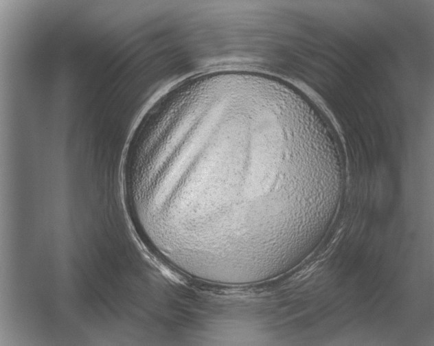 X0000052931341200507292342