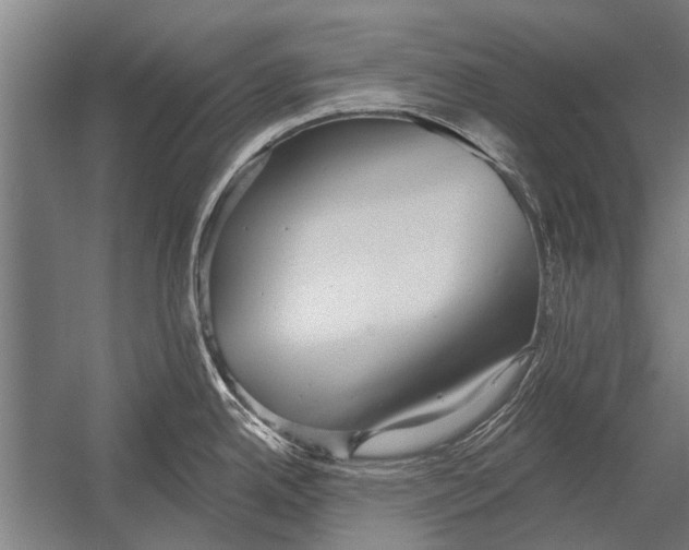 X0000052931342200507292342