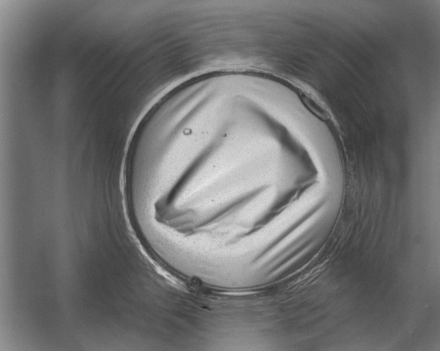 X0000052931343200507292342