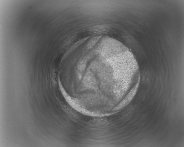 X0000052931346200507292341