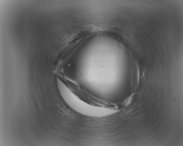 X0000052931348200507292341