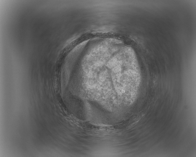 X0000052931350200507292341