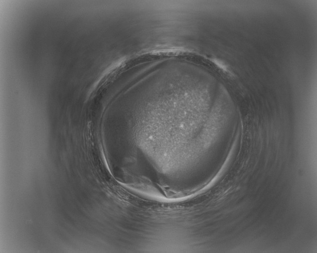 X0000052931351200507292341