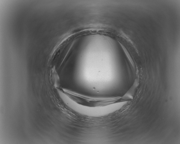 X0000052931352200507292341