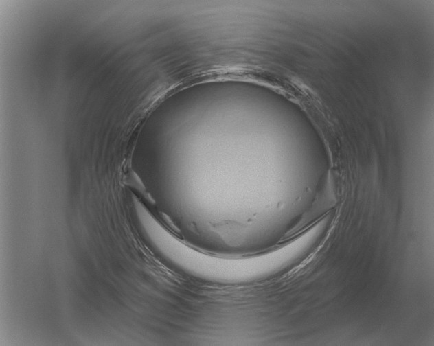 X0000052931353200507292341