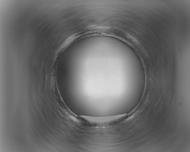 X0000052931354200507292341