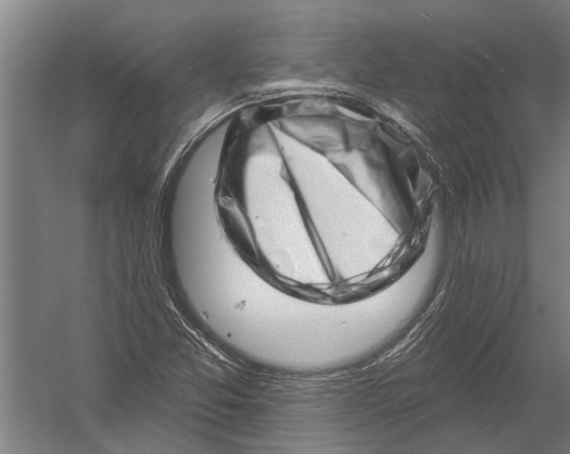 X0000052931357200507292341