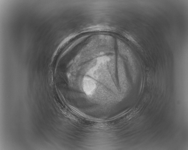 X0000052931358200507292341