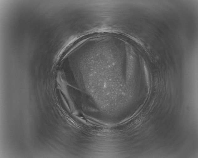 X0000052931359200507292341