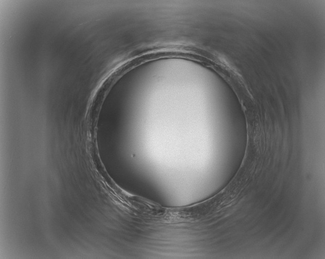 X0000052931360200507292341