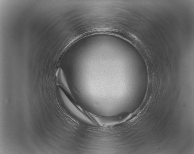 X0000052931361200507292341