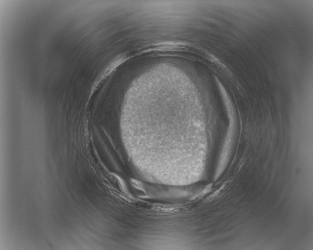 X0000052931362200507292341