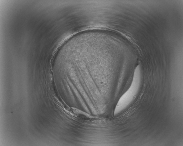 X0000052931363200507292341