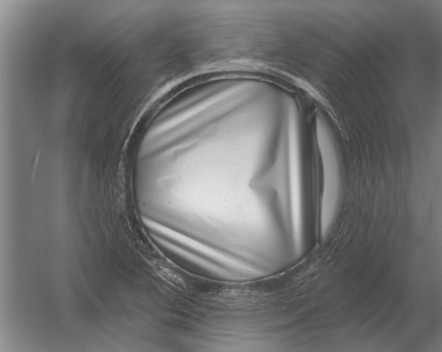 X0000052931364200507292341