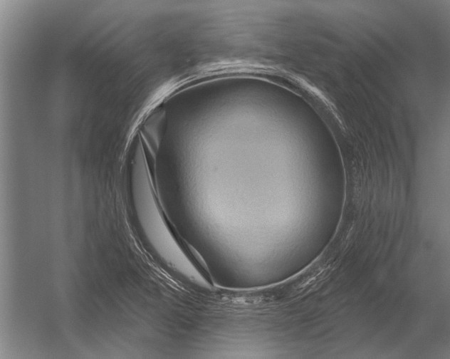 X0000052931365200507292341