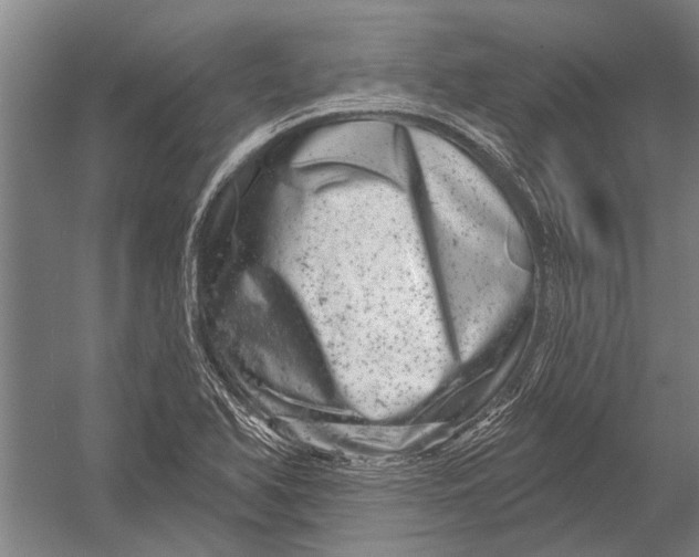 X0000052931366200507292341