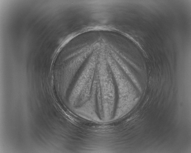 X0000052931367200507292341