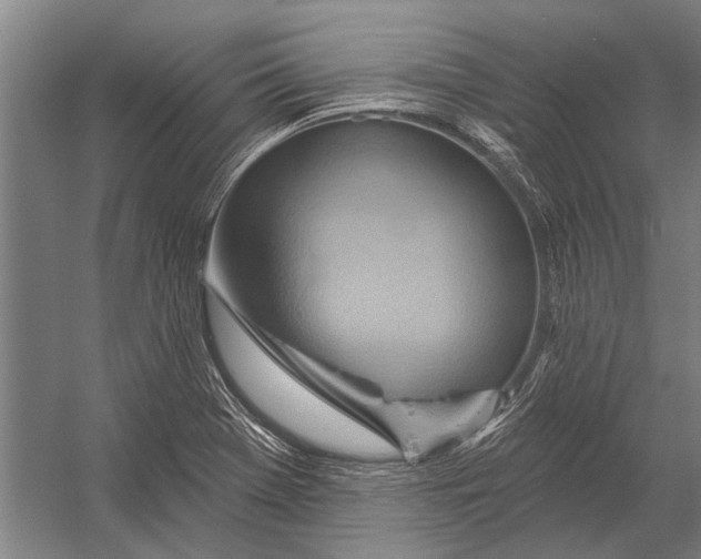 X0000052931369200507292341