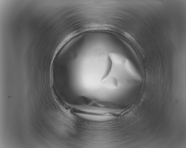 X0000052931370200507292341