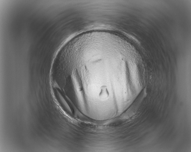 X0000052931375200507292341