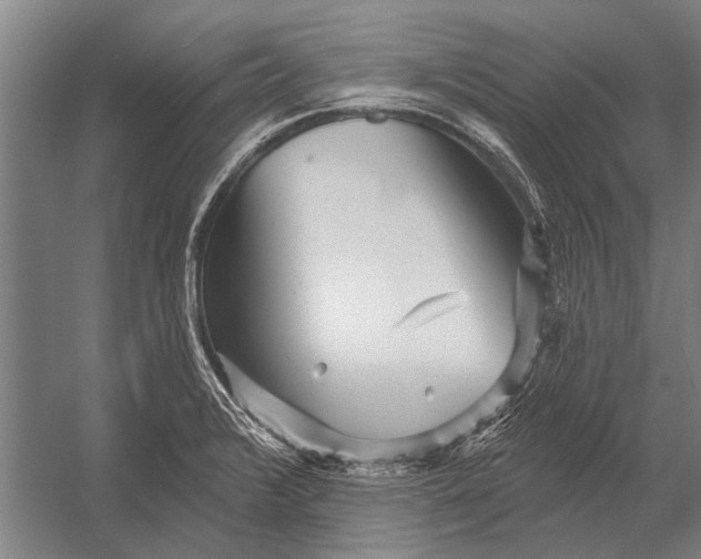 X0000052931376200507292341