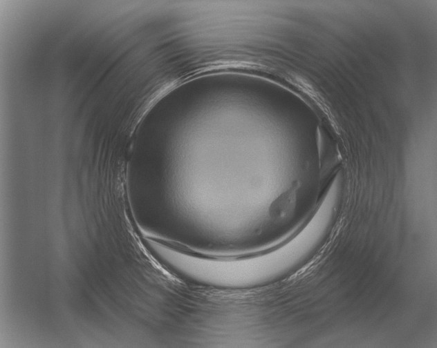 X0000052931377200507292341