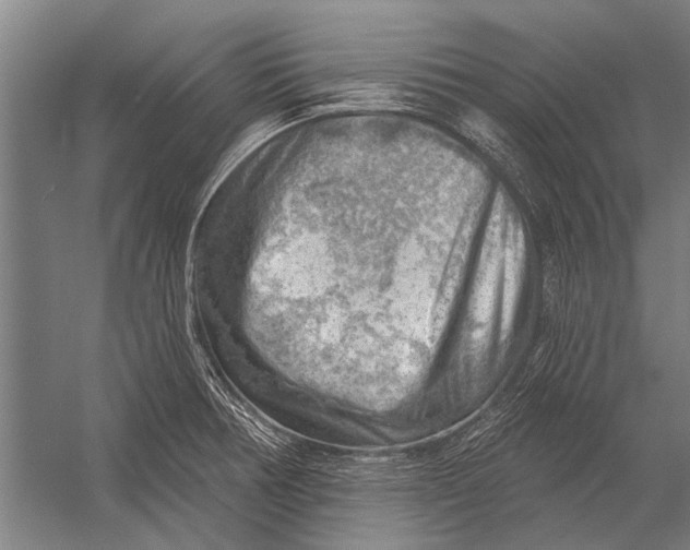 X0000052931378200507292341