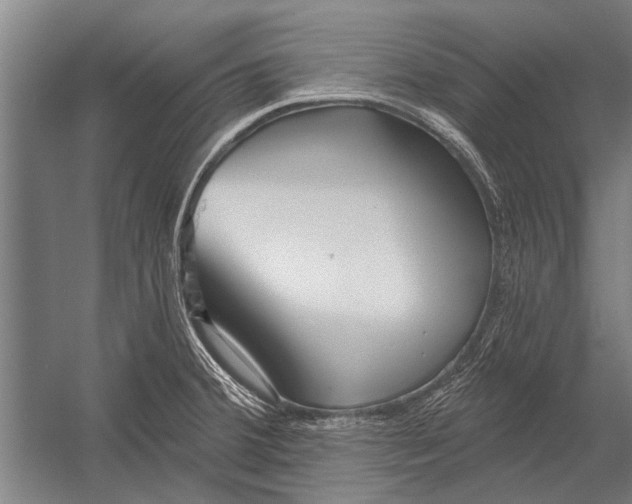 X0000052931380200507292341