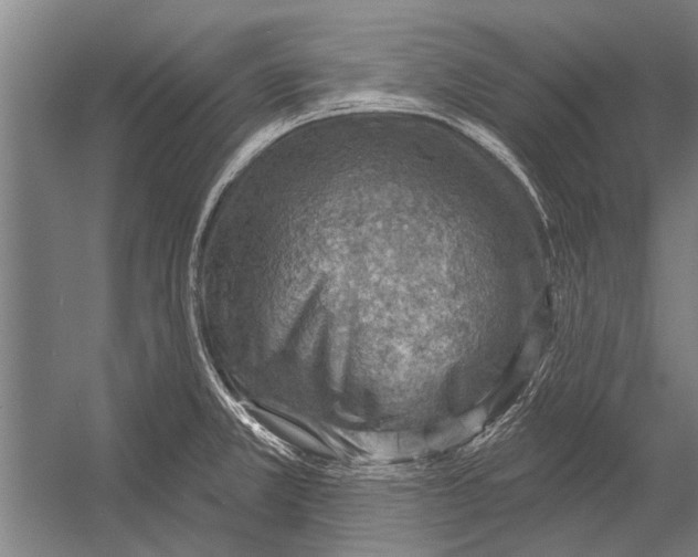 X0000052931381200507292341