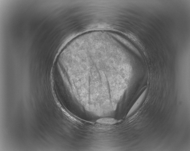 X0000052931382200507292341