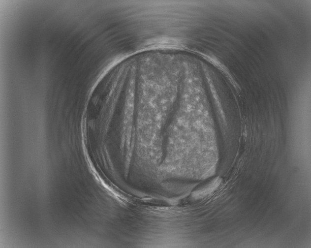 X0000052931383200507292341